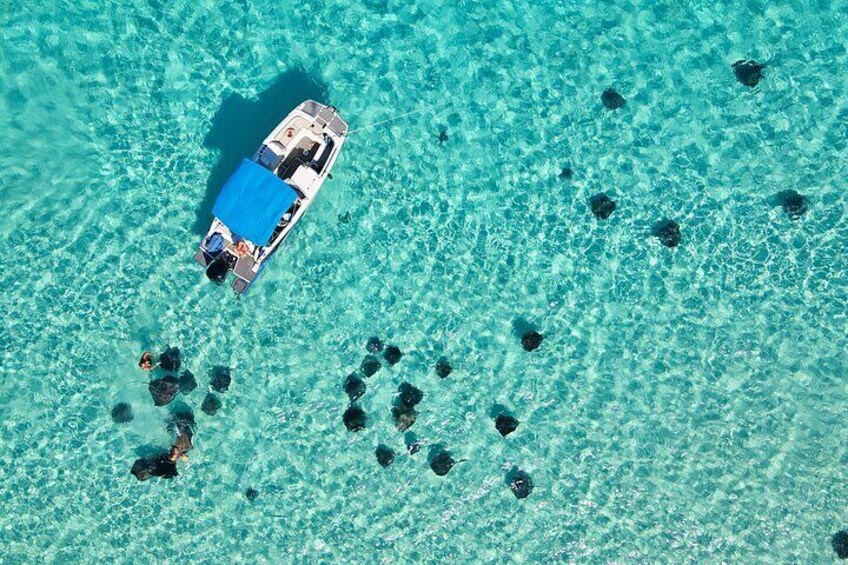 Sunrise Stingray Private City Tour