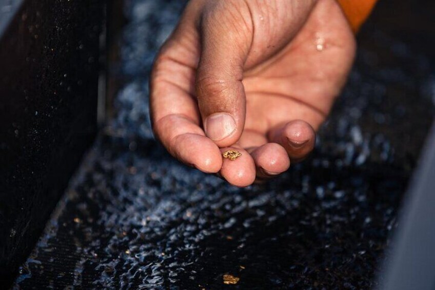 A hand holding a small object. 2