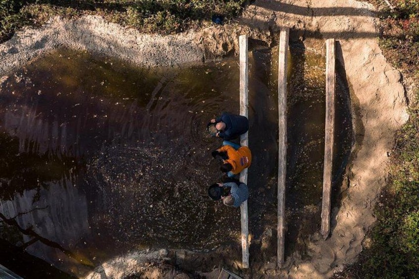 A person crossing a shallow water body using wooden planks. 4