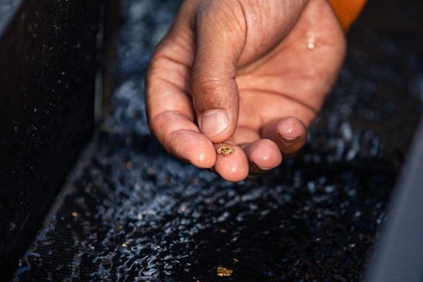 A hand holding a small object. 2