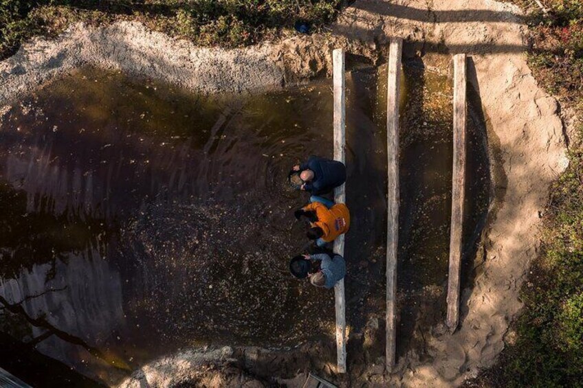 An aerial view of a person crossing a shallow water body using wooden planks. 4