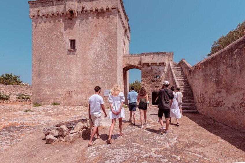 Masseria Rural Park Tour with Tasting of 3 EVO oil labels