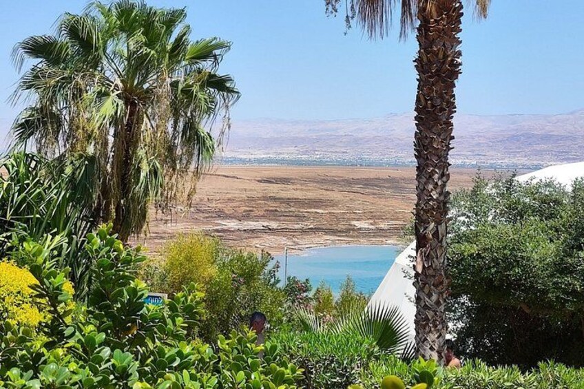 Full Day Private Tour by Car in Jericho and Dead Sea 1