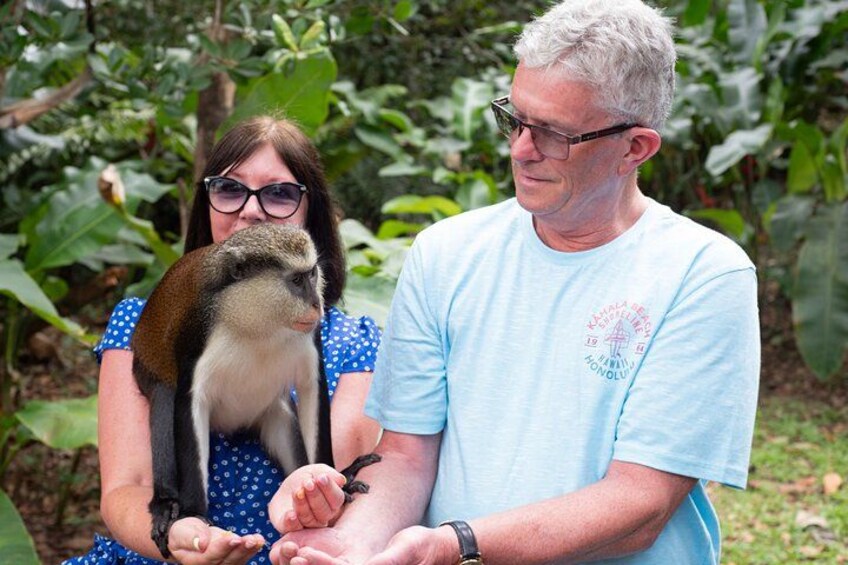 Interact with wild monkeys 2