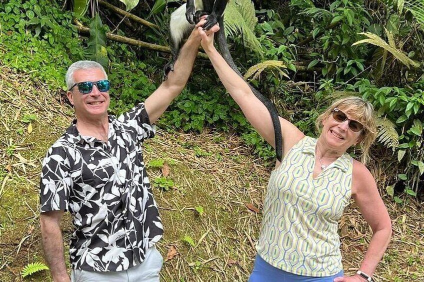 Interact with wild monkeys 5