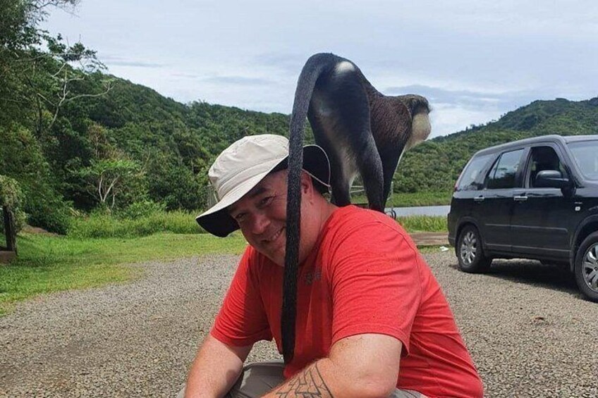 Interact with wild monkeys 2