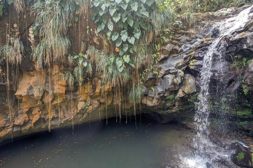 Annandale waterfalls 4