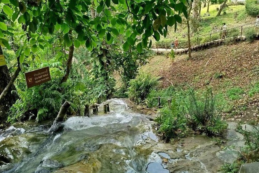 A stream flowing over rocks, surrounded by greenery and a sign warning not to walk on the rocks. 5