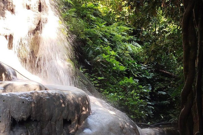 Una cascata che si getta su rocce, immersa in una fitta vegetazione verde. 5
