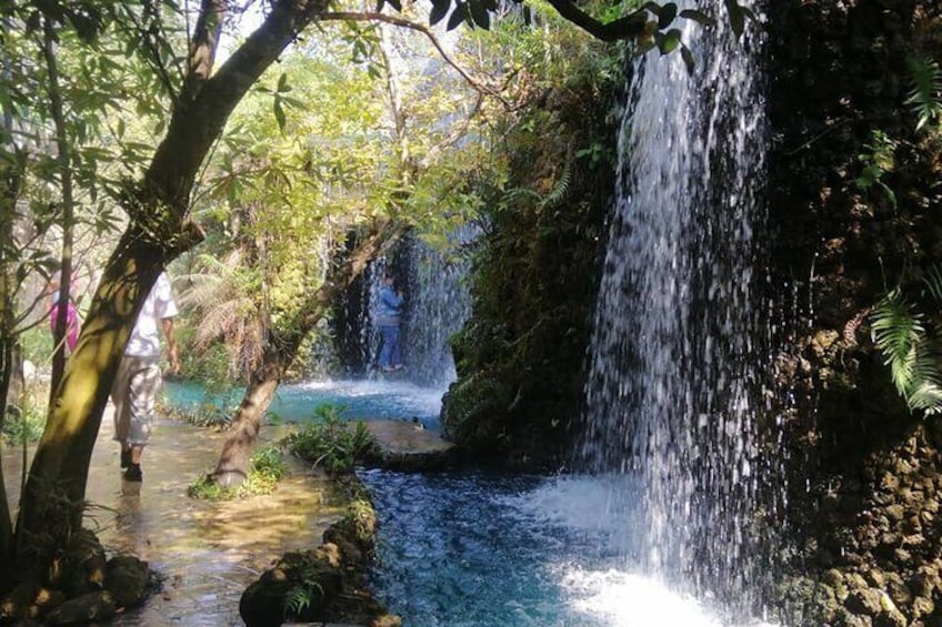 A waterfall in a forested area with a clear stream flowing through it. 1