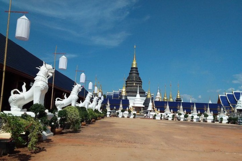 A row of white lion statues, a temple with a golden spire, and a clear blue sky. 3