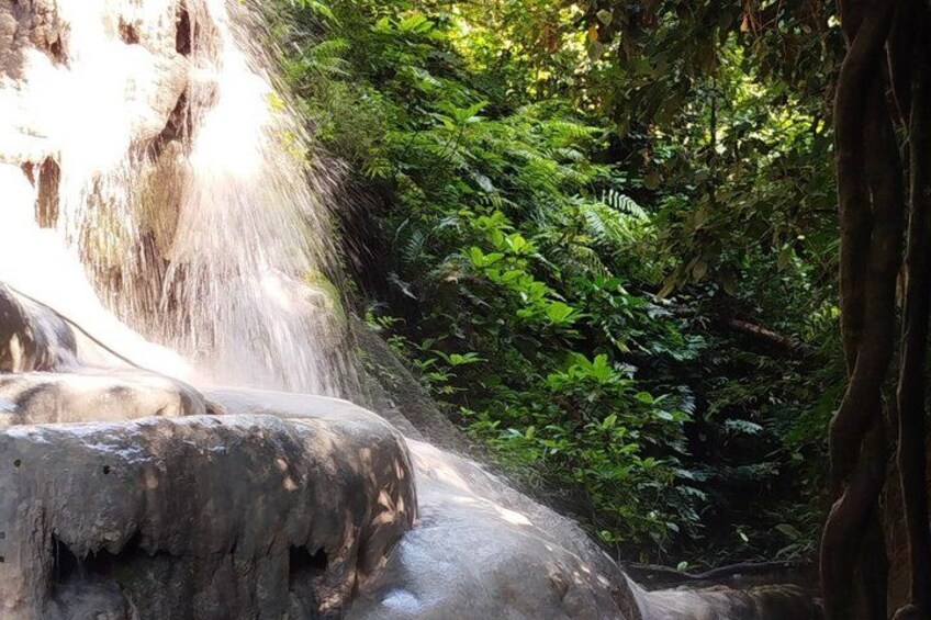 A waterfall cascading over rocks surrounded by dense green foliage. 5