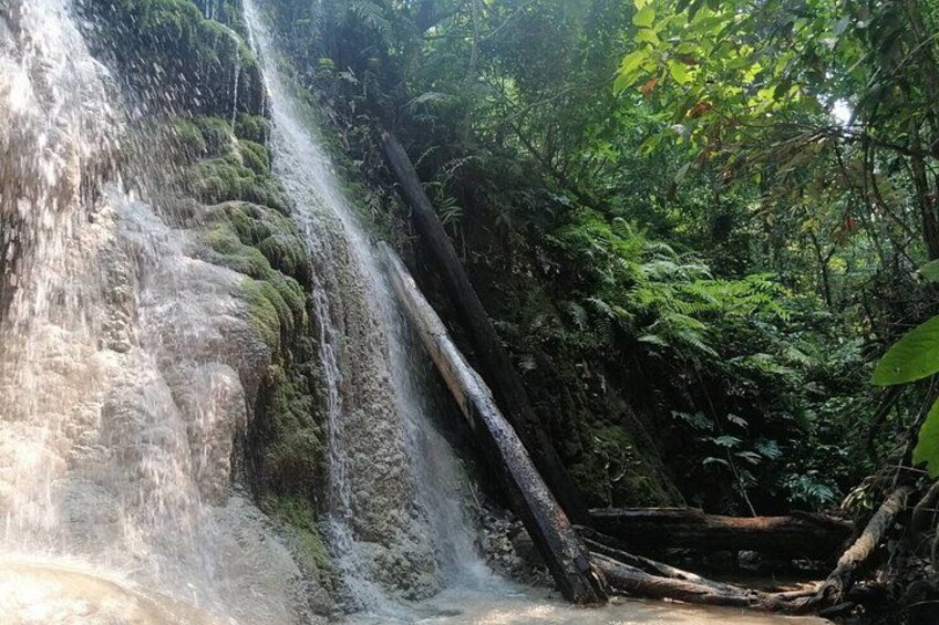 Una cascata che si getta su rocce ricoperte di muschio, circondata da una fitta foresta. 2