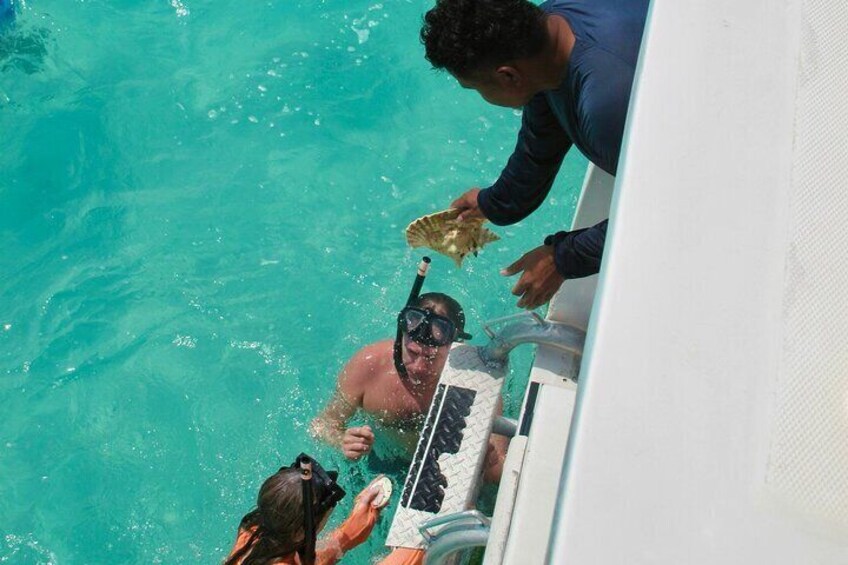 Half Day Snorkel from Providenciales with Visit to Half Moon Bay 1