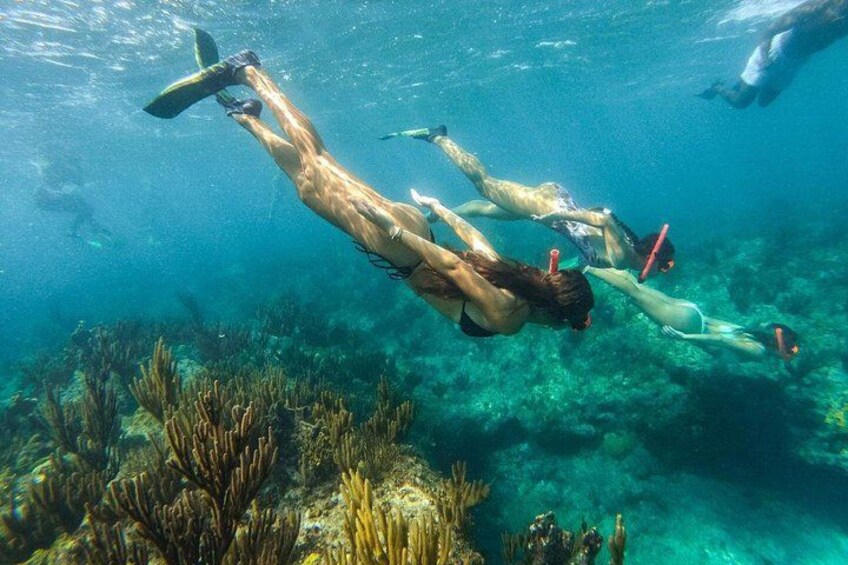 Personas haciendo snorkel bajo el agua con arrecifes de coral al fondo. 3