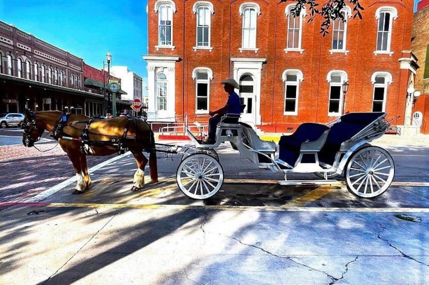 Public Group Historical Carriage Tour of Galveston 2