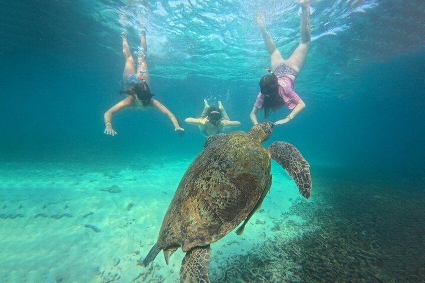 Snorkelling Trip 5 Island Tour Around Koh Tao and Koh Nang yuan 4