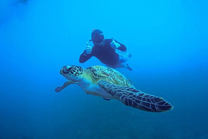 Snorkelling Trip 5 Island Tour Around Koh Tao and Koh Nang yuan 1