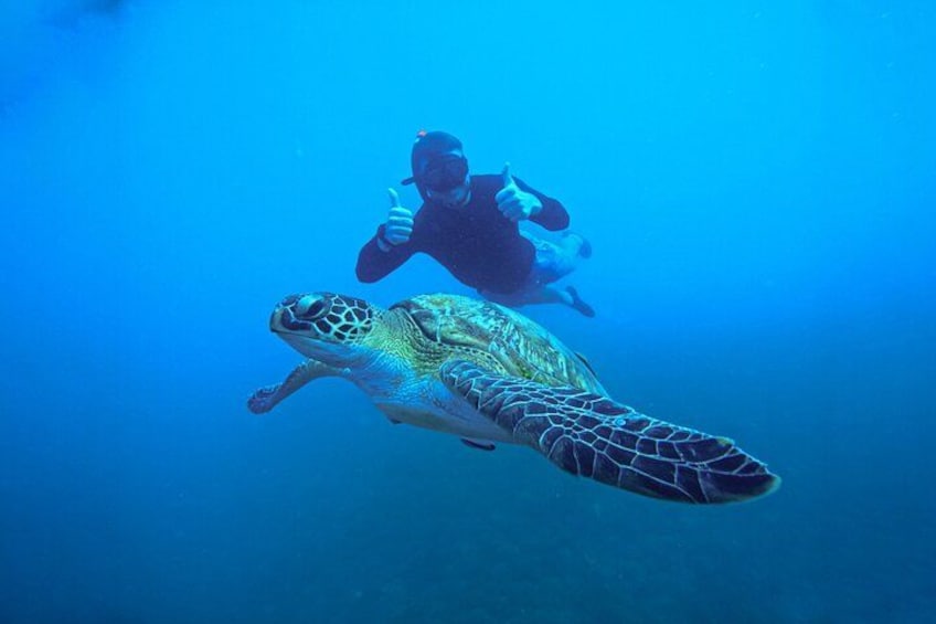 Snorkelling Trip 5 Island Tour Around Koh Tao and Koh Nang yuan 1