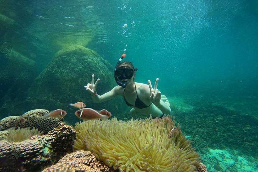 Snorkelling Trip 5 Island Tour Around Koh Tao and Koh Nang yuan 4