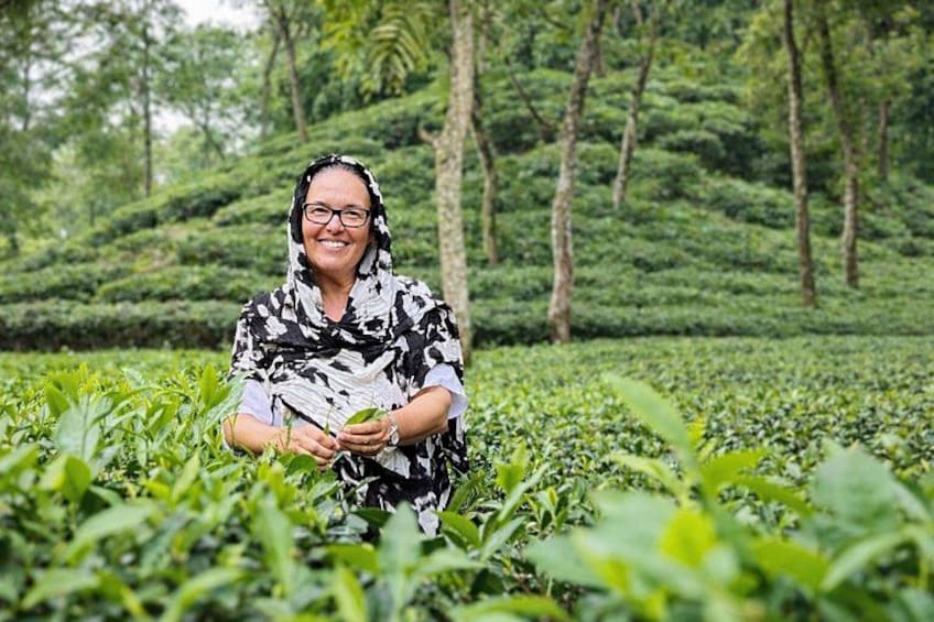 A person in a patterned dress standing in a tea plantation with lush greenery and trees in the background. 2