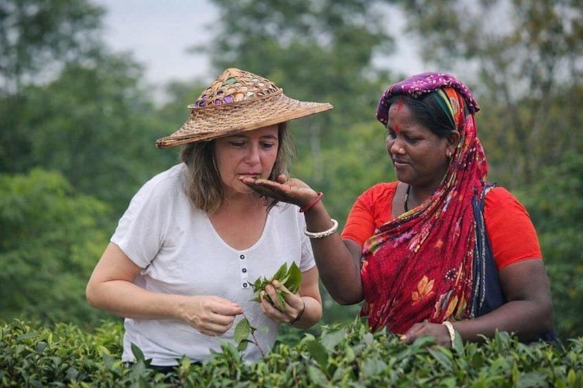 Two individuals in a field, one wearing a straw hat and the other in a red garment, surrounded by greenery. 1