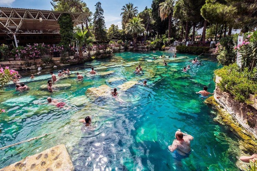 En swimmingpool med folk i vattnet, omgiven av grönska och en träkonstruktion. 3