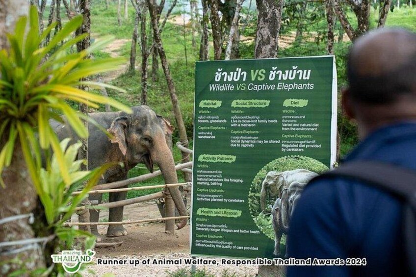 An elephant in a natural habitat with a sign comparing wildlife and captive elephants. 3