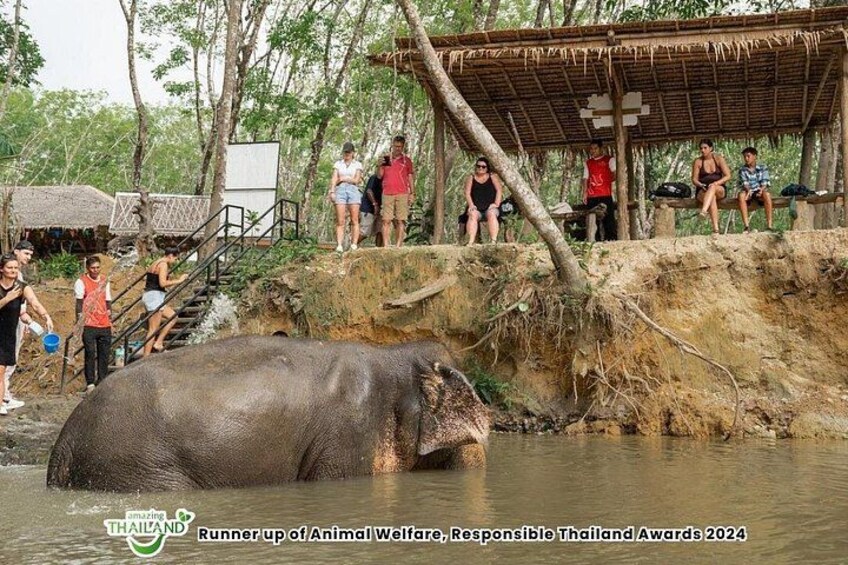 An elephant partially submerged in water, surrounded by people observing. 2