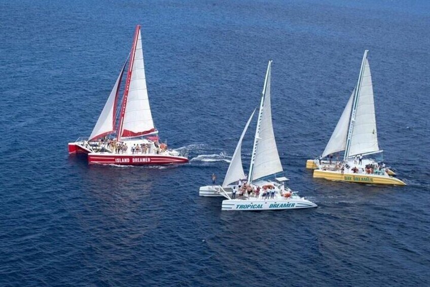 Three sailboats on the water, one red and two white, with 'Island Dreamer' written on the red boat. 5