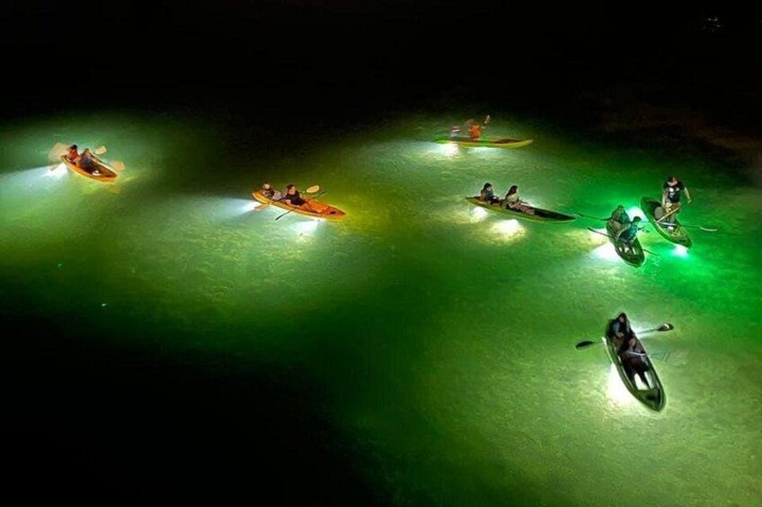 Des kayakistes sur une étendue d’eau calme, de nuit, éclairée par des lumières vertes. 2
