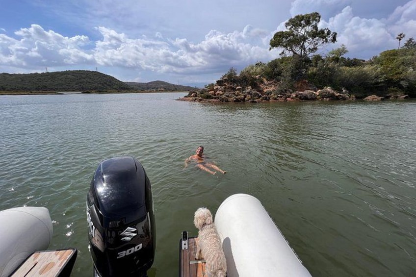 Arade River Small-group Cruise to Silves — with 2h on Land 2