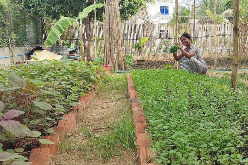 A garden with raised beds, a person tending to plants, and a bamboo fence in the background. 1