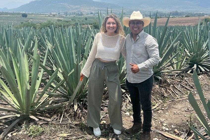 Two people standing in a field of agave plants with a mountainous landscape in the background. 4