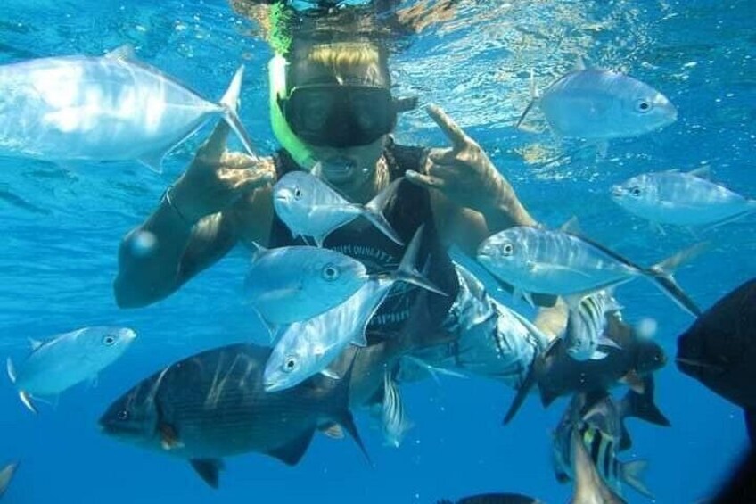 4 hours of shared snorkeling to El Cielo 3