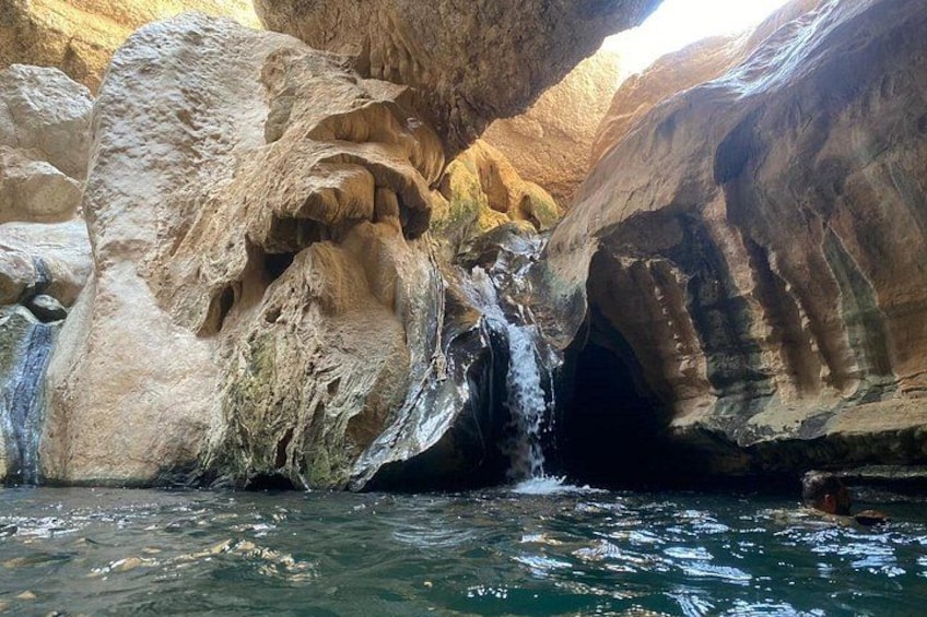 Visit wadishab full day from Musact 3