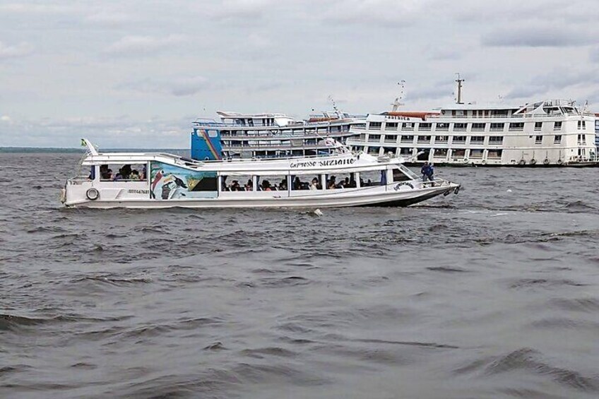 Amazon Safari from Manaus