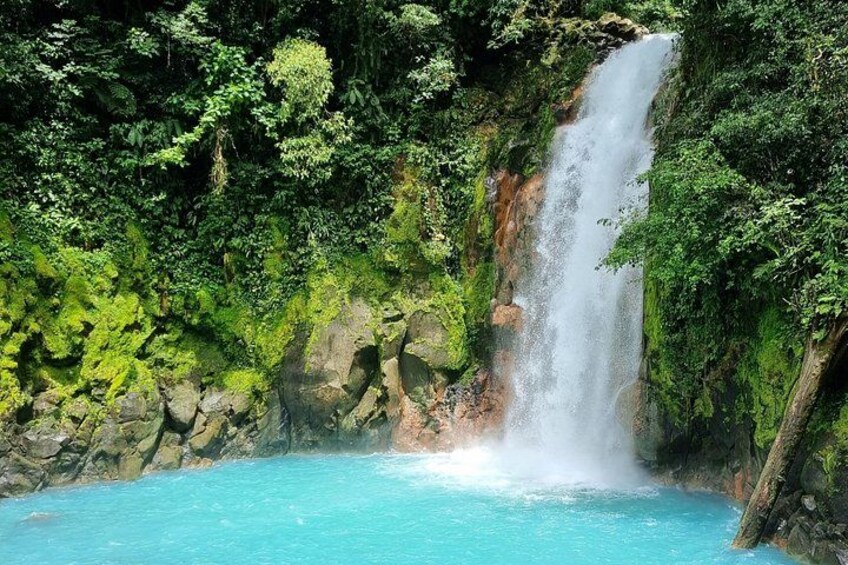 Tamarindo: Private Nature Tour with Swim and Sloth Sanctuary 2