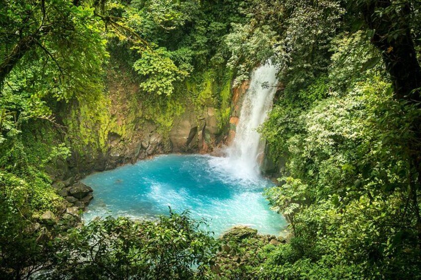 A view from the steps of the Río Celeste waterfall, inside of the Volcan Tenorio National Park. 1