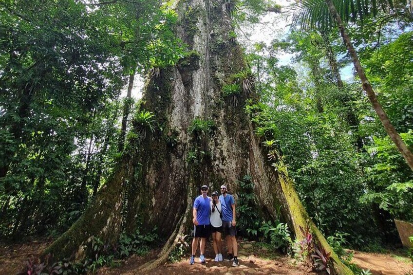 Tamarindo: Private Nature Tour with Swim and Sloth Sanctuary 3