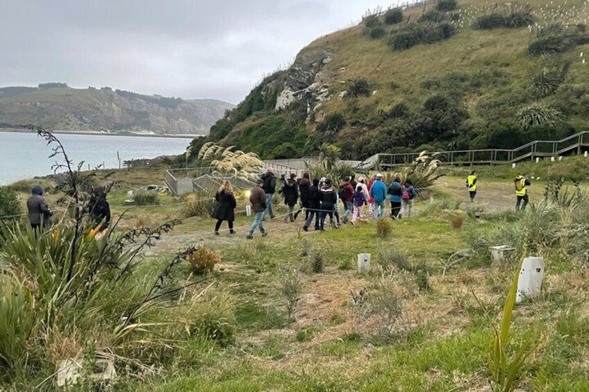 A group of people walking on a coastal path with a view of the sea and hills in the background. 1