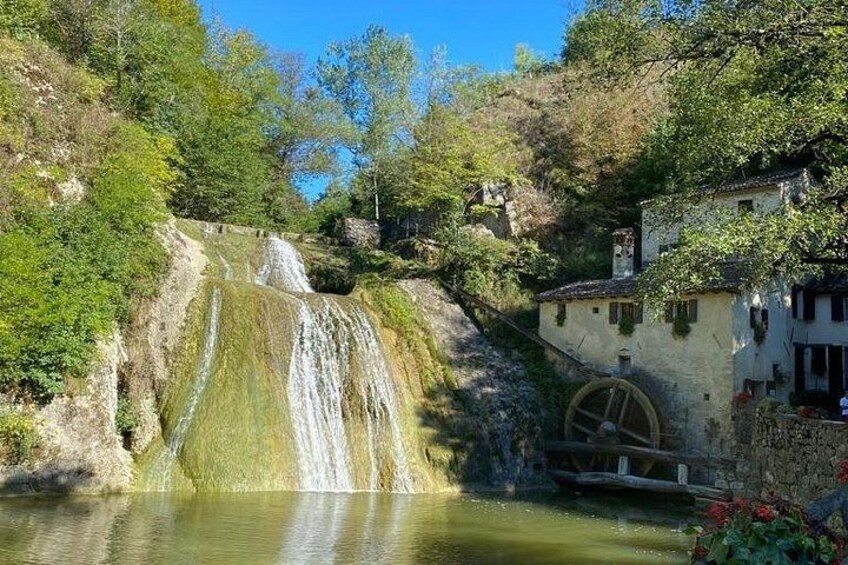 All Inclusive Cheeses and Gins Tour in the Prosecco hills. 3