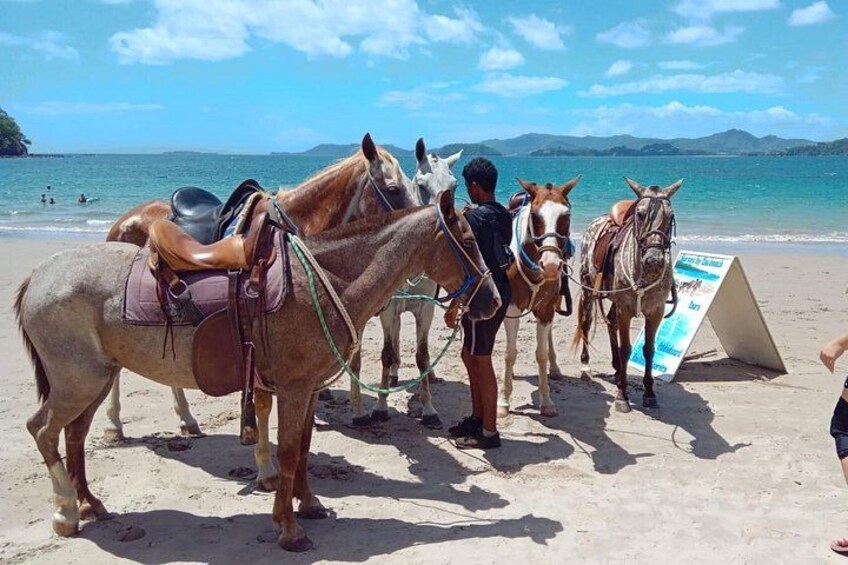 Private Horseback Tour in Playa Conchal 5