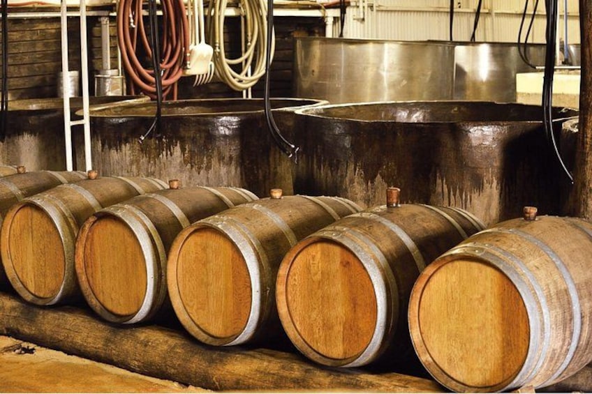Wooden barrels lined up in a row, with stainless steel tanks in the background. 2