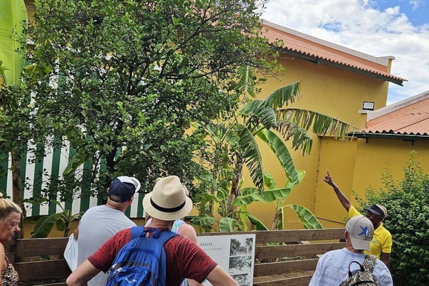 Curaçao City and Beach Tour 3