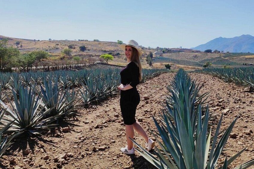 Full Day in Tequila with Tasting and party in Cantaritos 2