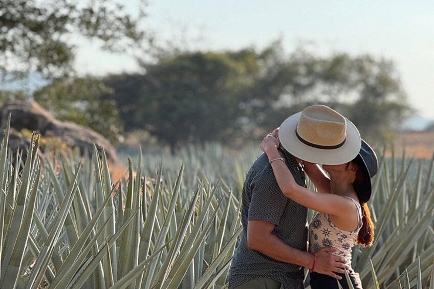 Full Day in Tequila with Tasting and party in Cantaritos 4