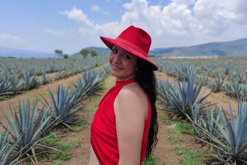 Full Day in Tequila with Tasting and party in Cantaritos 3
