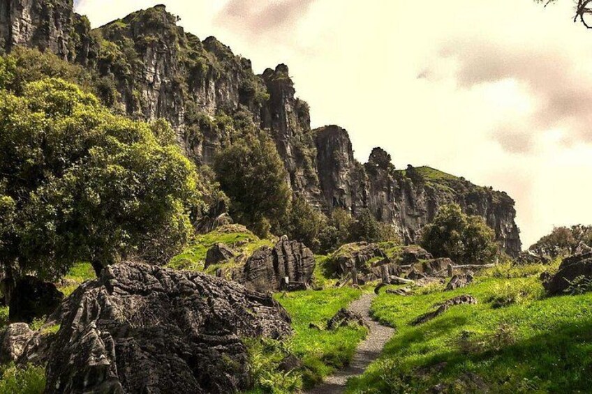 12-Hour LOTR Trollshaws & Waitomo Glowworm Tour 2