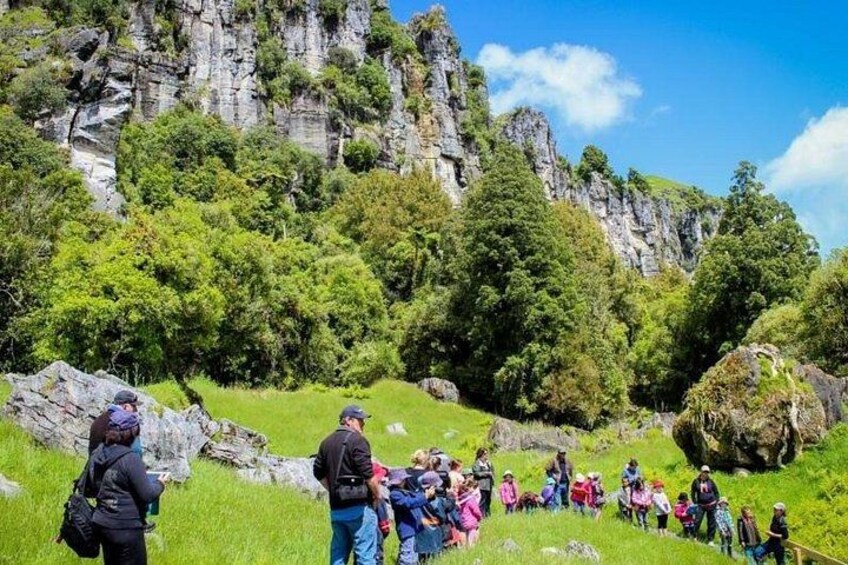 12-Hour LOTR Trollshaws & Waitomo Glowworm Tour 5